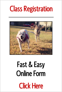 Tampa Dog Training Class Registration